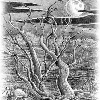 Thorntree Design - This was an illustration for a Wedding invitation that occurred on Halloween, hence the 2 trees intertwining in the foregroun... - Graphic Design Near Me - Gaithersburg, Maryland Thorntree Design - This was an illustration for a Wedding invitation that occurred on Halloween, hence the 2 trees intertwining in the foregroun... - Graphic Design Near Me - Gaithersburg, Maryland