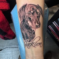 Golden Days Tattoo - Dachshund portrait by @marknestattoo