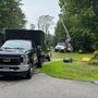 Photo of Sepples Tree Service