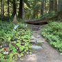 Photo of Twin Firs Trailhead