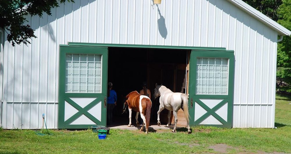 SS Equestrian Services - equestrian in Ashland, NY