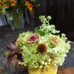 Hilltop Blooms