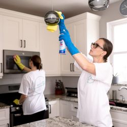 Raccoon Cleaning Services - Whole-house deep cleaning in Elgin, IL by Raccoon Cleaning -- eco-friendly products and detailed work that makes your home shine!