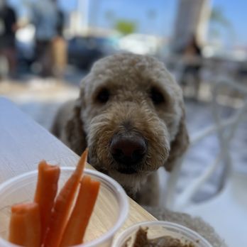 Vibe Organic Kitchen - Shiner - Juice Bars & Smoothies Near Me - Costa Mesa, California