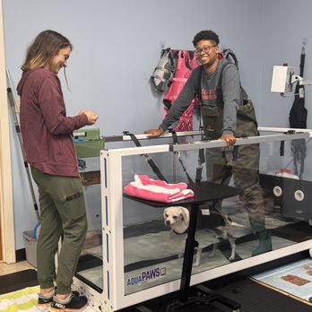 Virginia Veterinary Specialty & Emergency - Rehab at VVSE - Veterinarians Near Me - Charlottesville, Virginia Virginia Veterinary Specialty & Emergency - Rehab at VVSE - Veterinarians Near Me - Charlottesville, Virginia