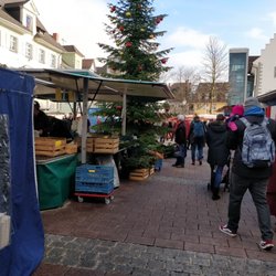 Wochenmarkt Radolfzell