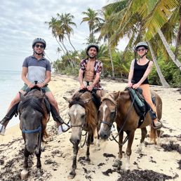 Horses
