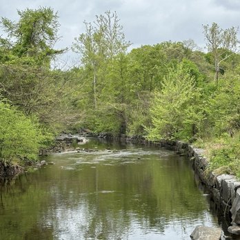 Dora Kelley Nature Park - Parks Near Me - Alexandria, Virginia