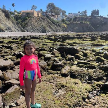La Jolla - Beaches Near Me - San Diego, California La Jolla - Beaches Near Me - San Diego, California