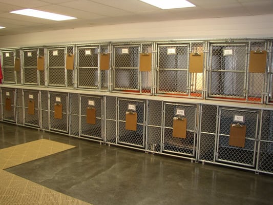 sandy pines boarding kennel inc