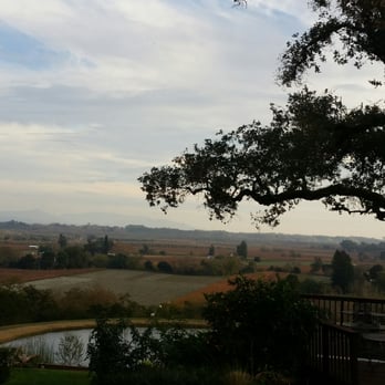 Overshine Wine - Million dollar views from just outside the tasting room. - Wineries Near Me - Healdsburg, California Overshine Wine - Million dollar views from just outside the tasting room. - Wineries Near Me - Healdsburg, California
