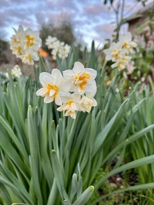 RUSTRIDGE RANCH & WINERY - Updated January 2026 - 13 Photos & 12