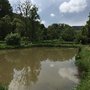 Photo of Angelsportverein Dernau