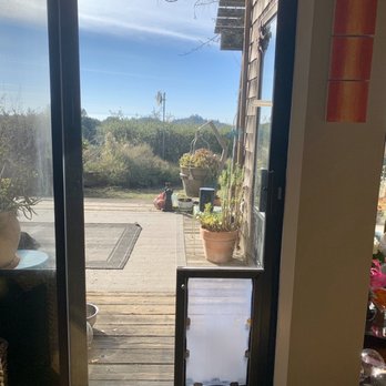 Dog Door Daddy - Dog door installed into my sliding glass door - Pet Services Near Me