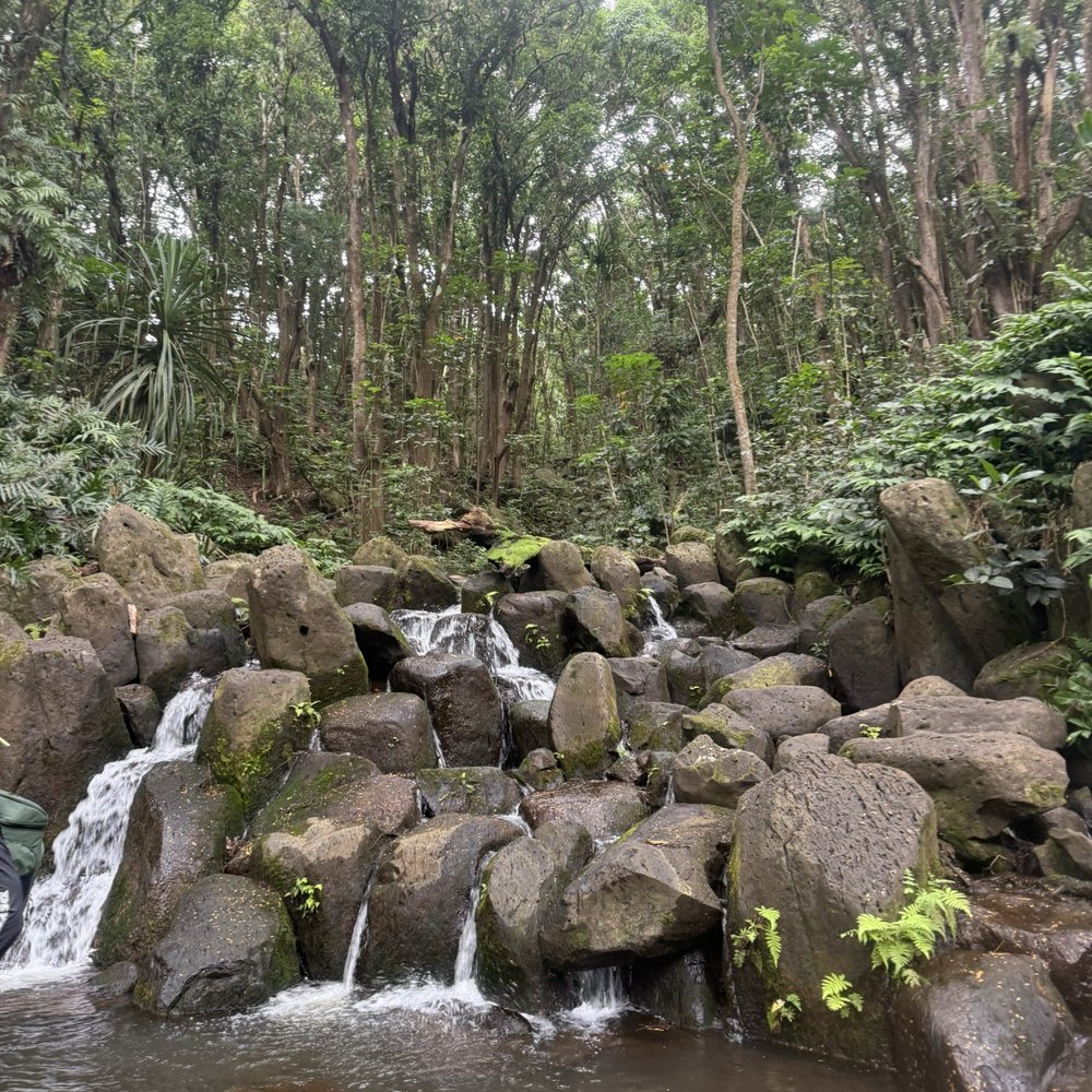 Wailua Kayak Adventures - Rafting/Kayaking Near Me - Kapaa, Hawaii Wailua Kayak Adventures - Rafting/Kayaking Near Me - Kapaa, Hawaii