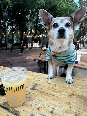 Trillium Garden on The Greenway by null Trillium Garden on The Greenway by null