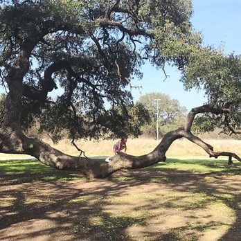Walker Ranch Historic Landmark Park - Parks Near Me - San Antonio, Texas Walker Ranch Historic Landmark Park - Parks Near Me - San Antonio, Texas