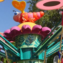Website photo