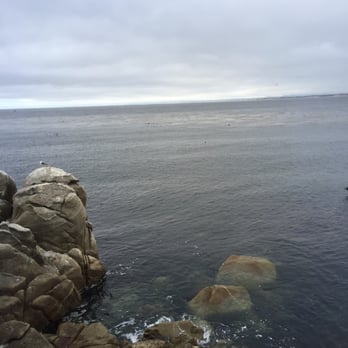 El Torito - View for our table - Mexican Near Me - Monterey, California El Torito - View for our table - Mexican Near Me - Monterey, California