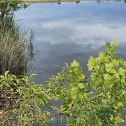 Oakes Quarry Park