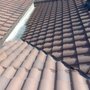 Photo of Bye-Bye Birdy Pigeon Removal Service