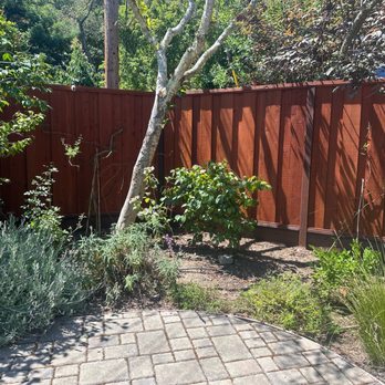 Top Tier Fencing - Fences & Gates Near Me Top Tier Fencing - Fences & Gates Near Me