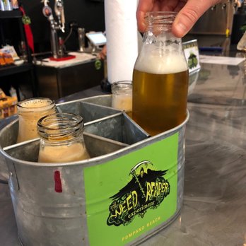 Black Flamingo Brewing - Flight in milk jugs. - Breweries Near Me - Pompano Beach, Florida Black Flamingo Brewing - Flight in milk jugs. - Breweries Near Me - Pompano Beach, Florida