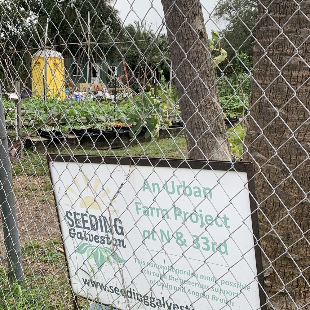 Seeding Galveston - Support local - Community Gardens Near Me - Galveston, Texas Seeding Galveston - Support local - Community Gardens Near Me - Galveston, Texas