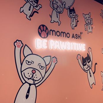 Momo Ashi - Wall - Bubble Tea Near Me - Bayside, New York Momo Ashi - Wall - Bubble Tea Near Me - Bayside, New York