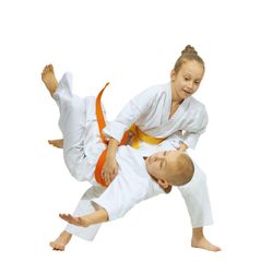 Metro Karate & Jiu Jitsu Academy - Learn safety and Control