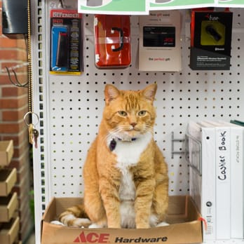 Canton Ace Hardware - Hardware Stores Near Me - Baltimore, Maryland