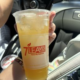 Summer Mint Iced Summer Mint Iced