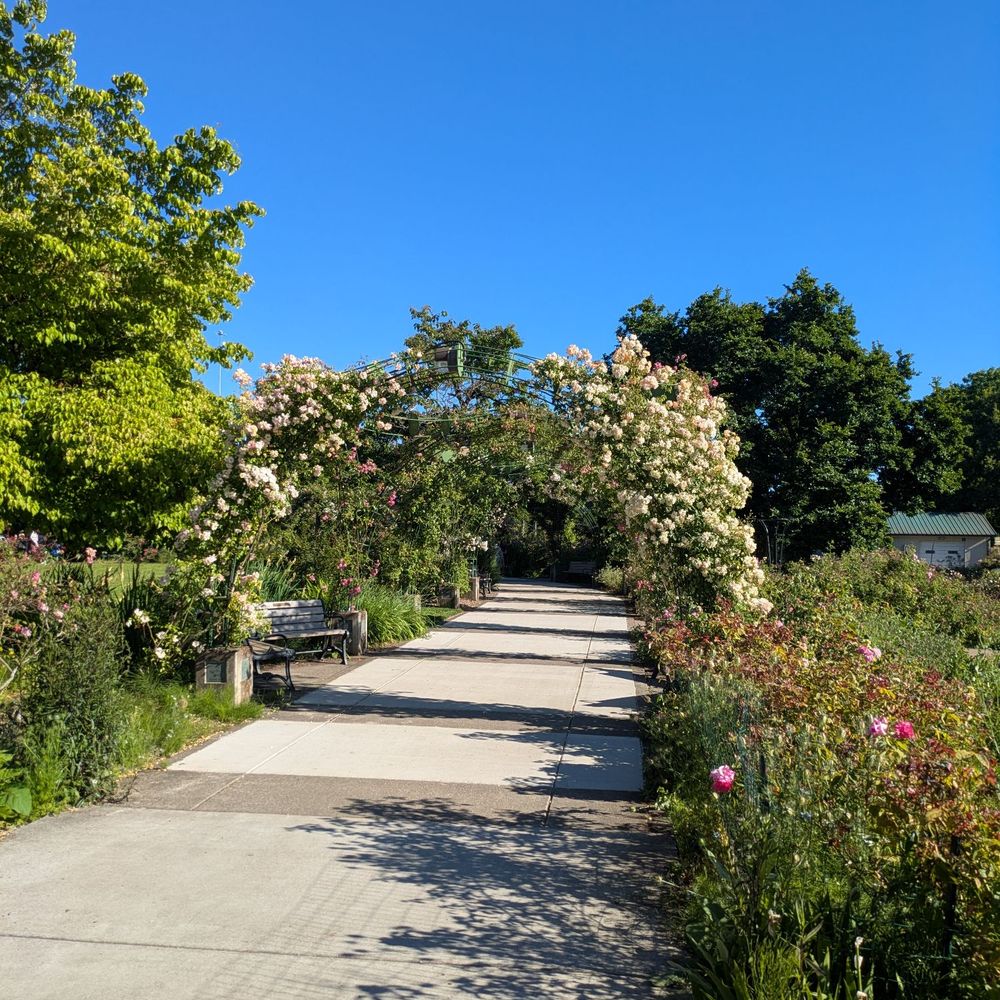 Owen Rose Garden - Parks Near Me - Eugene, Oregon Owen Rose Garden - Parks Near Me - Eugene, Oregon