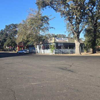 Kour Thai - That tree is huge! - Thai Near Me - Clearlake, California Kour Thai - That tree is huge! - Thai Near Me - Clearlake, California