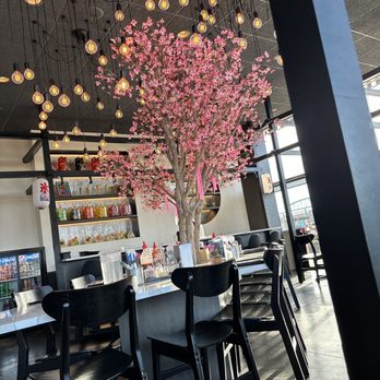 Chicago Ramen Algonquin - The pink cherry blossom tree in the middle - Ramen Near Me - Algonquin, Illinois