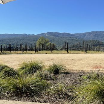 HALL Wines - View of the vineyard - Wineries Near Me - Saint Helena, California HALL Wines - View of the vineyard - Wineries Near Me - Saint Helena, California
