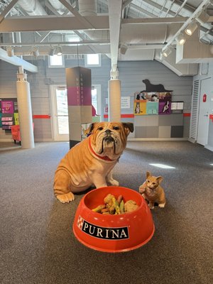 Purina Farms by null