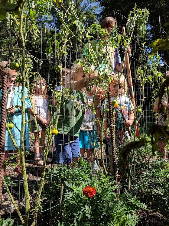 Asheville Farmstead School - childcare center in Candler, NC