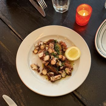 Trattoria Carina - OCTOPUS - Italian Near Me - Philadelphia, Pennsylvania Trattoria Carina - OCTOPUS - Italian Near Me - Philadelphia, Pennsylvania