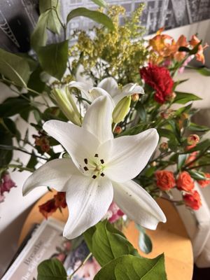 The Conservatory Florist by null