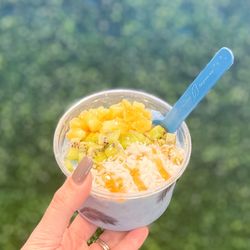 Surf Bar - Beach Bowl