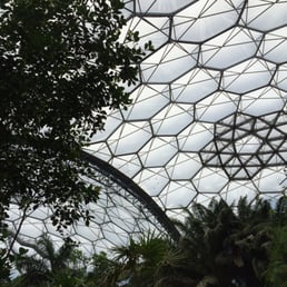 Rainforest biome