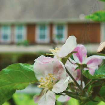 The Spa At Orchard House - Hair Removal Near Me The Spa At Orchard House - Hair Removal Near Me