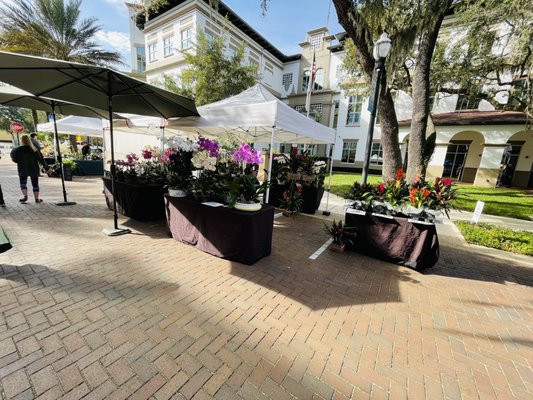 Maitland Farmer's Market by null