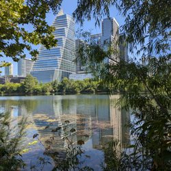 Auditorium Shores - Leash-free Dog Zone