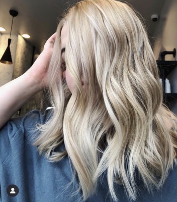 The Blonde Co by null