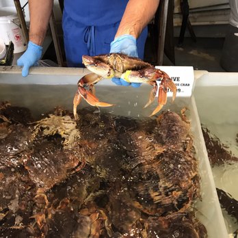 Quality Seafood - Live crab - Seafood Markets Near Me - Redondo Beach, California Quality Seafood - Live crab - Seafood Markets Near Me - Redondo Beach, California