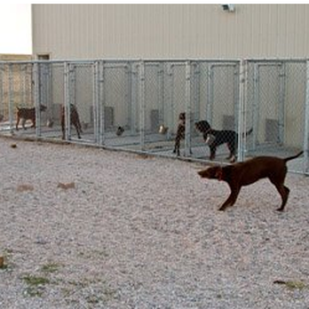 Jackson Creek Kennel - Pet Sitting Near Me - Peyton, Colorado Jackson Creek Kennel - Pet Sitting Near Me - Peyton, Colorado