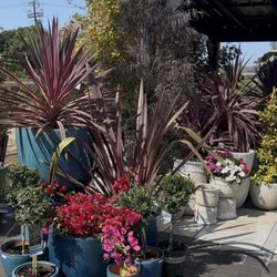 Certified Plant Growers