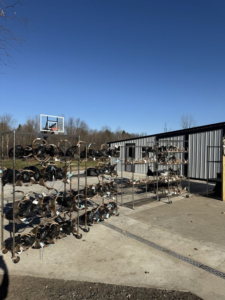 Courser Deer Processing - taxidermy in Columbiaville, MI